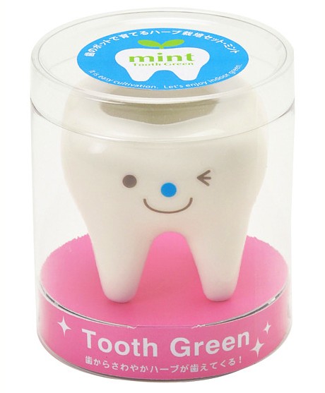 Набор для выращивания мяты «Tooth Green» | Seishin