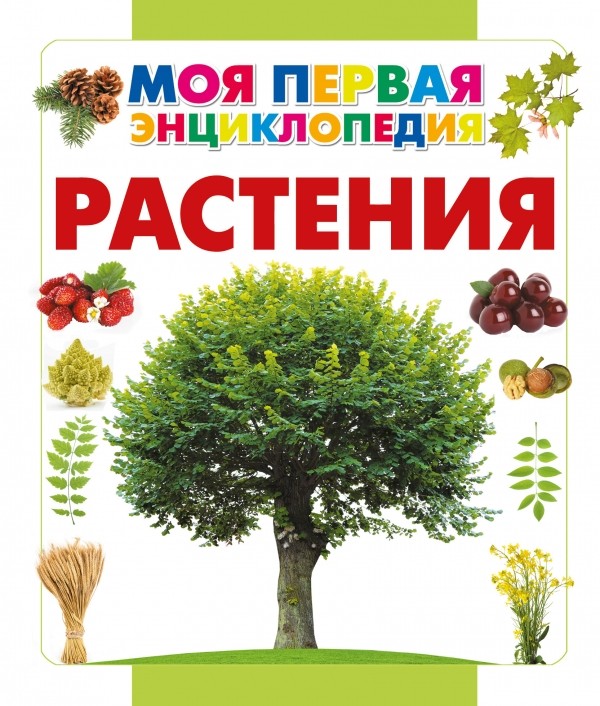 Растения | Моя первая энциклопедия