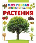 Растения