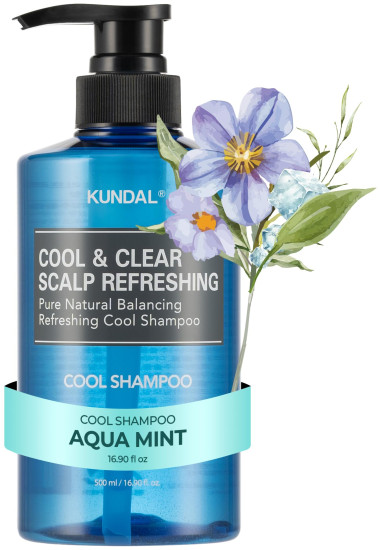 Шампунь для волос «Cool & Clear Scalp Refreshing Cool Shampoo»