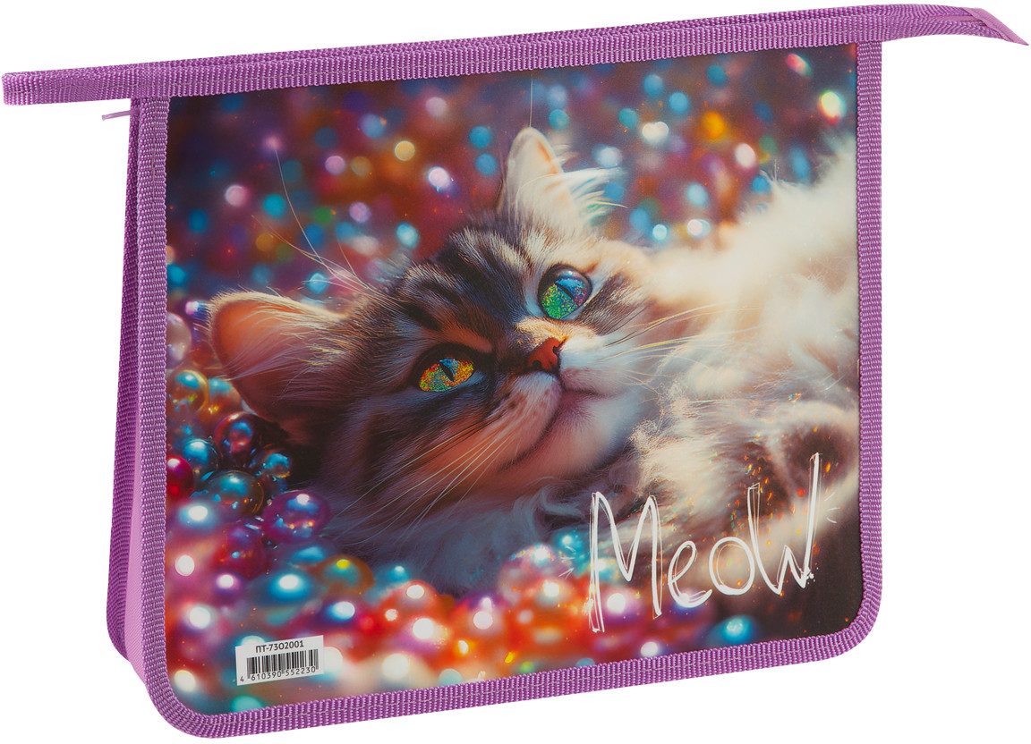 Папка для тетрадей «Striped Cat» | ArtSpace