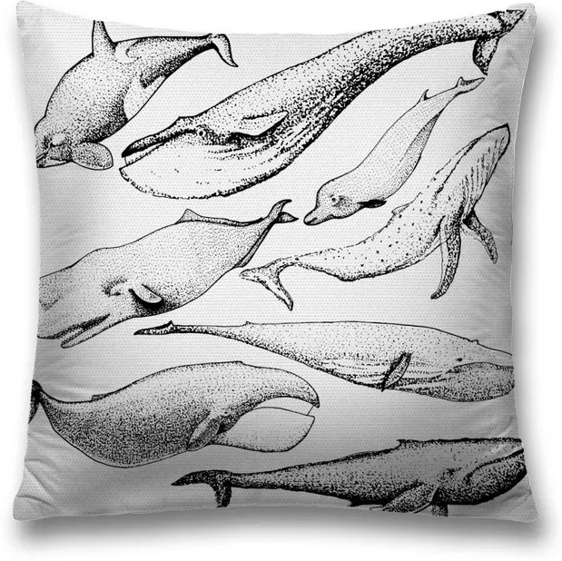 Наволочка декоративная «Виды китов» | Виды китов | JoyArty