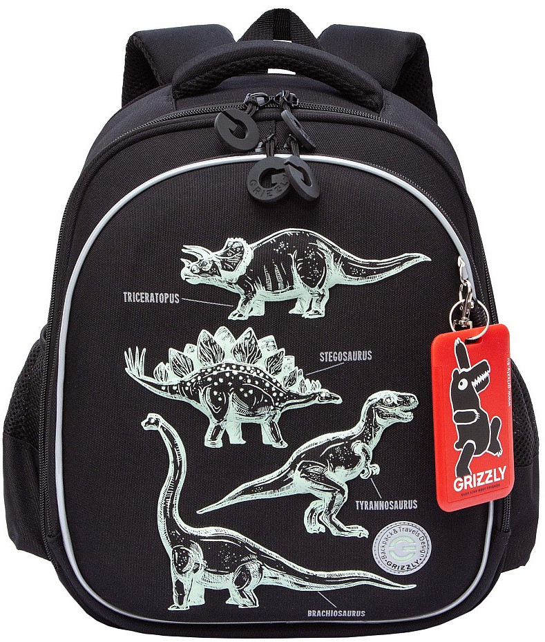 Рюкзак школьный | Raz | Grizzly