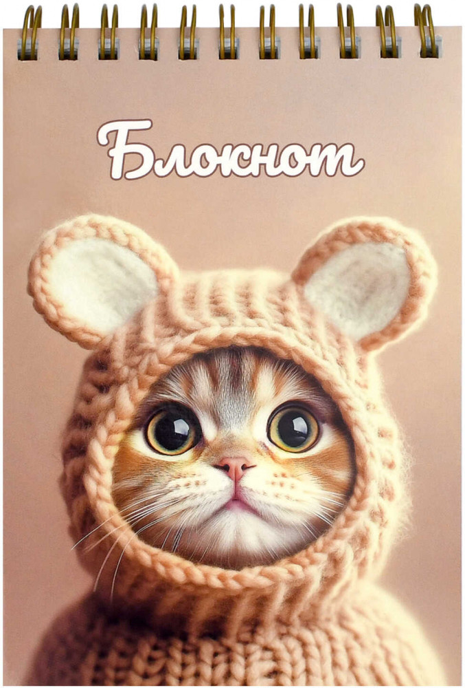Блокнот «Котенок в шапочке» | Феникс +