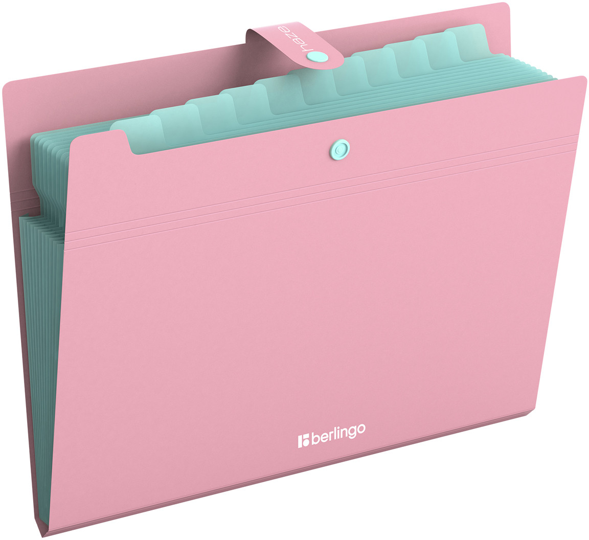 Папка для документов на кнопке | Haze | Berlingo