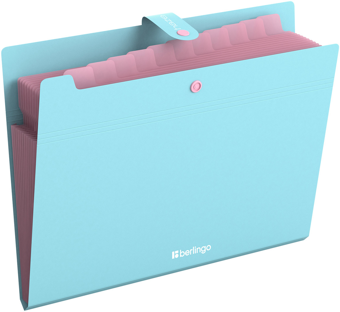 Папка для документов на кнопке | Haze | Berlingo