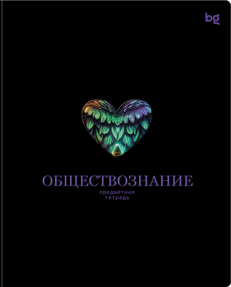 Тетрадь предметная «Обществознание» | Информационное поле | BG