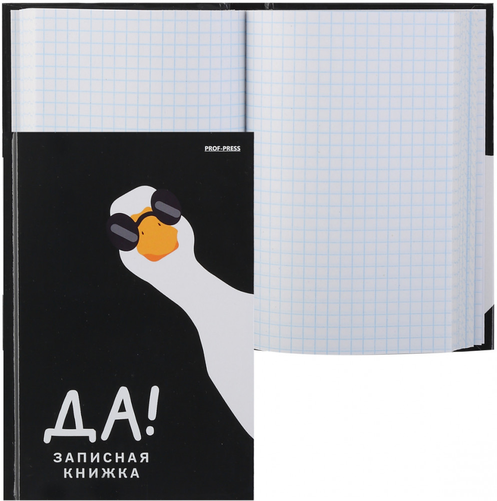 Книжка записная «Гусь в очках» | Проф-Пресс