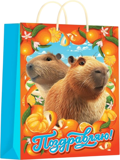 Пакет подарочный «Капибара» | Чудо праздник