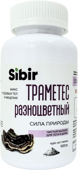 Траметес разноцветный