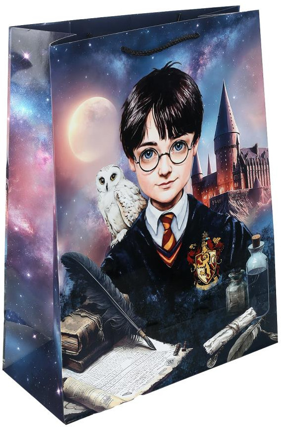 Пакет подарочный «Школа волшебства» | Чудо праздник