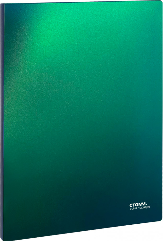 Папка с 30 вкладышами | Хамелеон | Стамм