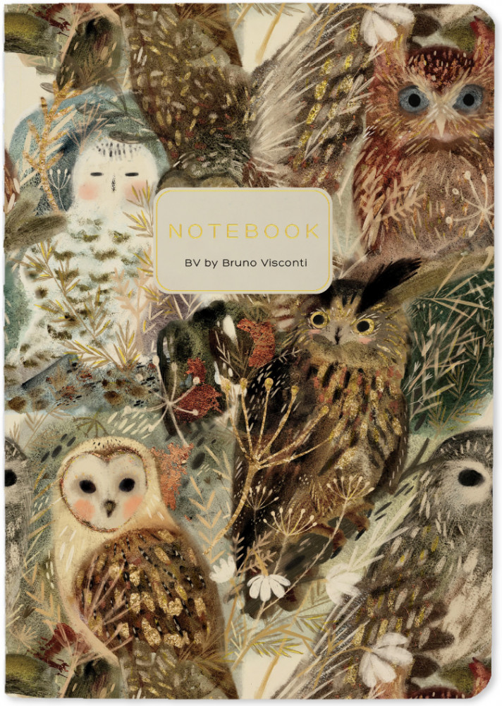 Тетрадь общая «Волшебные совы» | Bruno Visconti