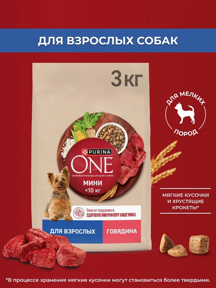 Корм сухой для мелких и карликовых пород, с говядиной и рисом | Purina ONE