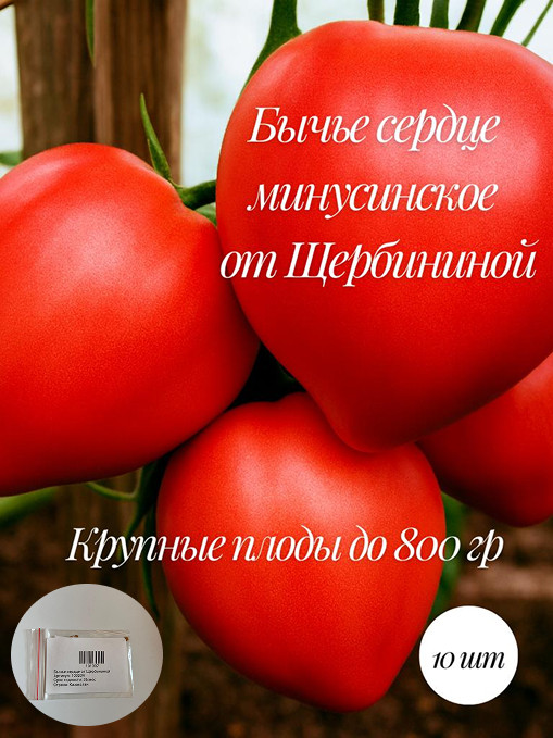 Коллекционные семена томата «Бычье сердце от Щербининой»