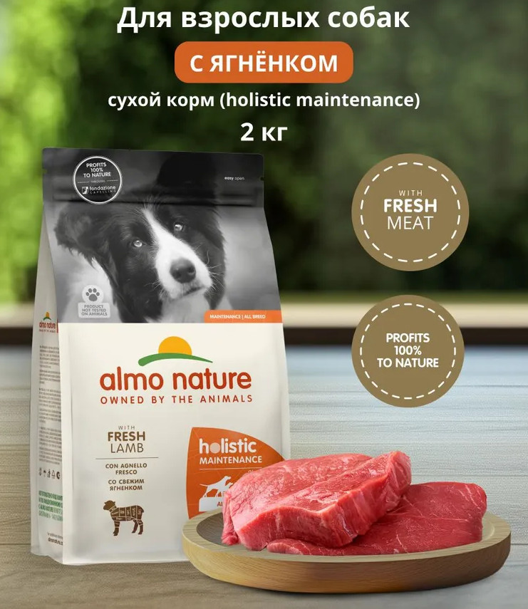 Корм для взрослых собак сухой со свежим ягнёнком «Life Maintenance» | Holistic | Almo Nature