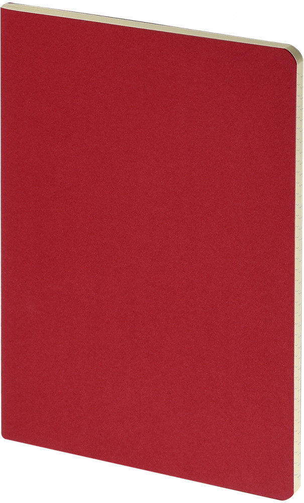 Бизнес-тетрадь «Pragmatic» | Bruno Visconti