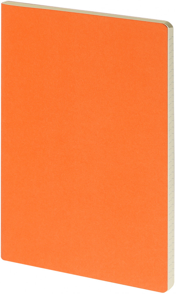 Бизнес-тетрадь «Pragmatic» | Bruno Visconti