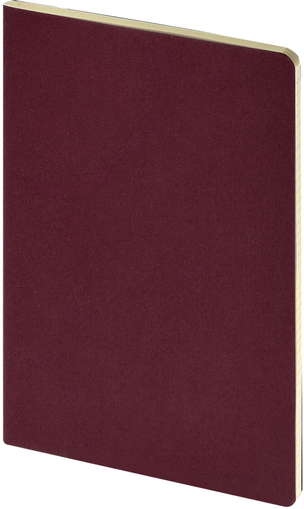 Бизнес-тетрадь «Pragmatic» | Bruno Visconti