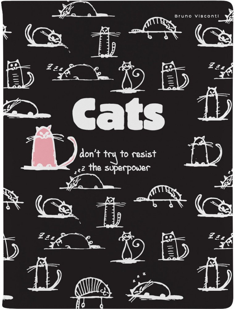 Дневник школьный «Toon town. Cats» | Bruno Visconti