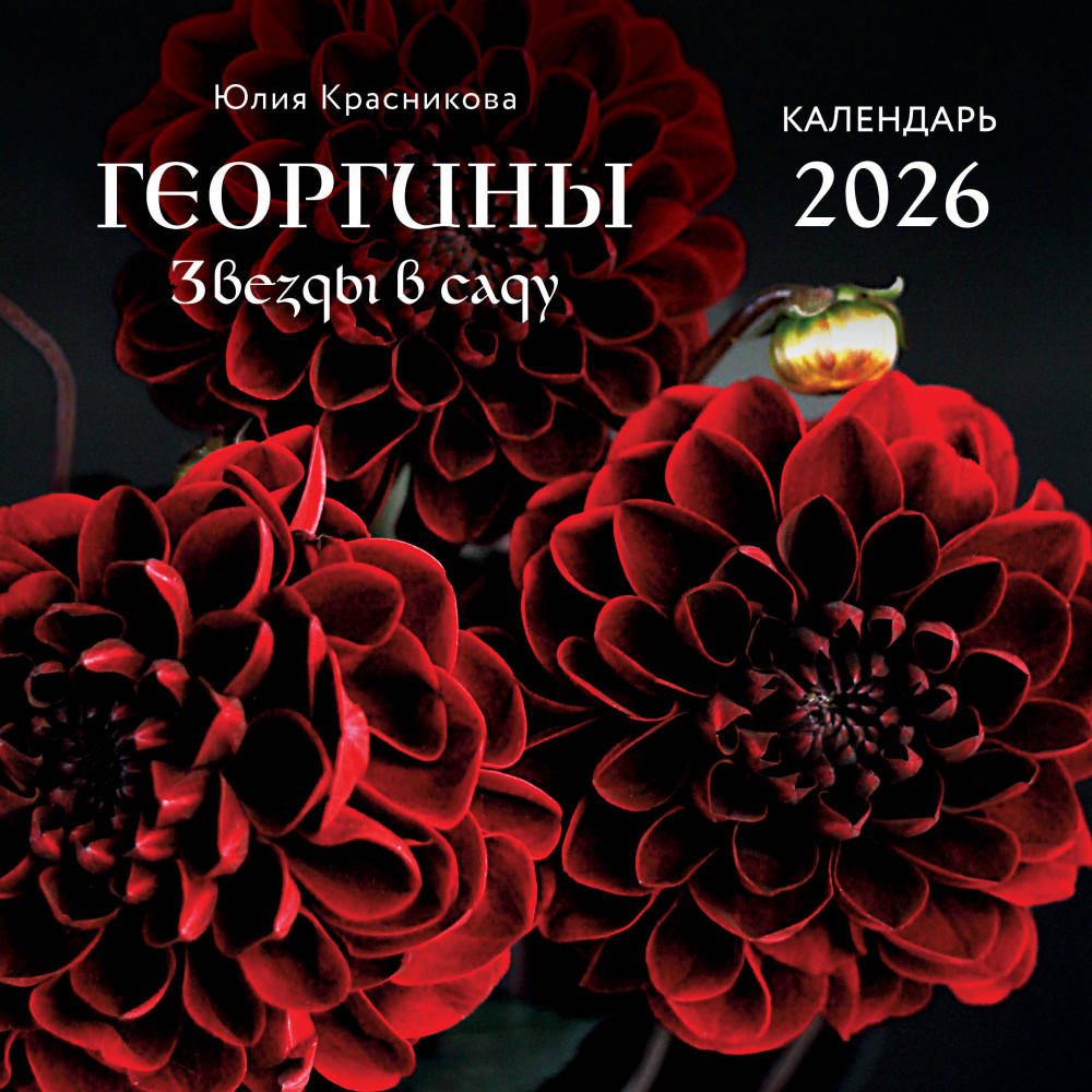 Календарь настенный на 2026 год «Георгины. Звезды в саду» | Календари настенные 2026 (300×300)