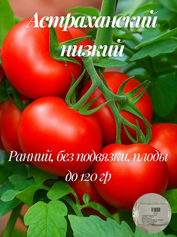 Семена томата коллекционные «Астраханский низкий»