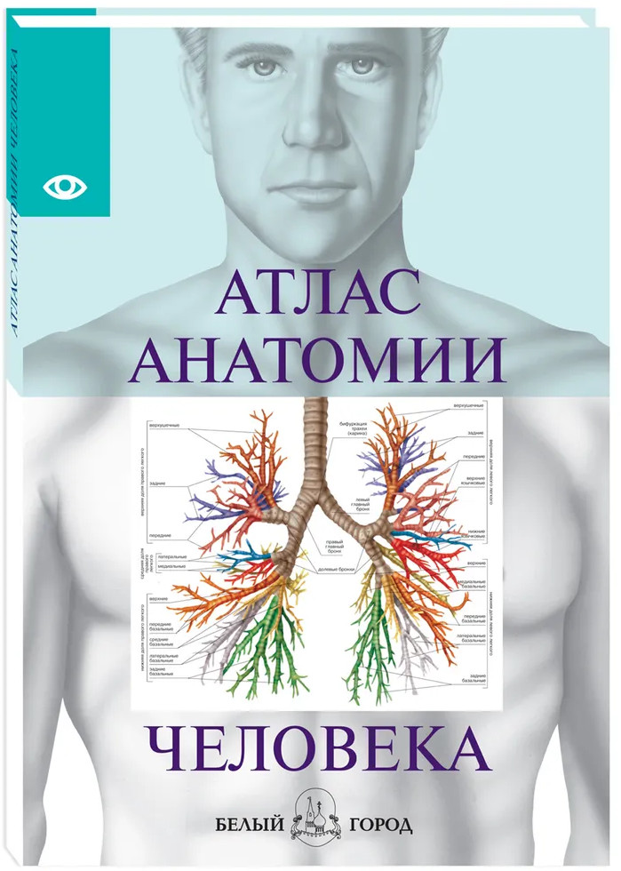 Атлас анатомии человека