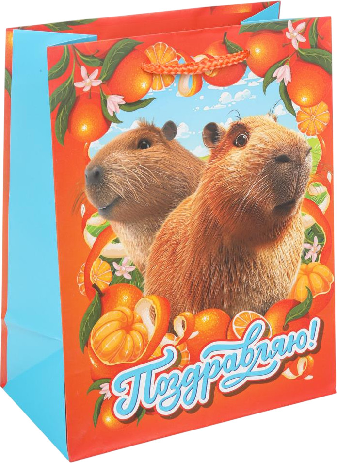 Пакет подарочный «Капибара» | Чудо праздник