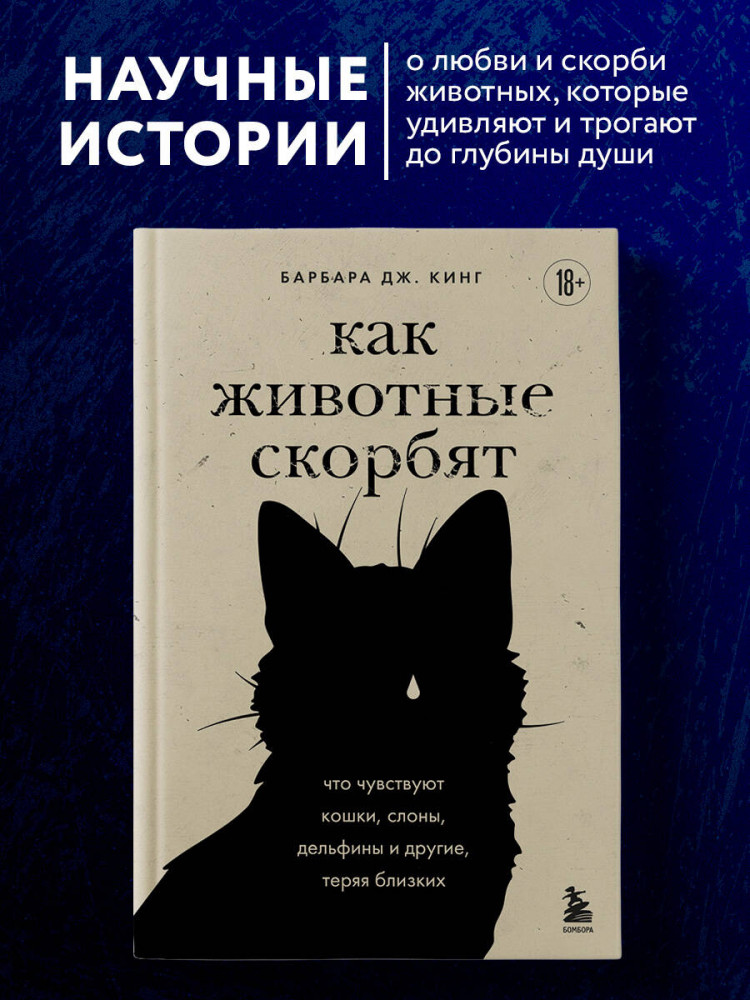Как животные скорбят. Что чувствуют кошки, слоны, дельфины и другие, теряя близких | Тайный мир, меняющий сознание