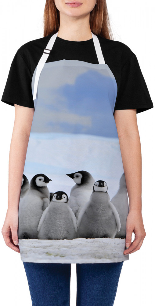 Фартук для кухни «Дружба пингвинов» | JoyArty
