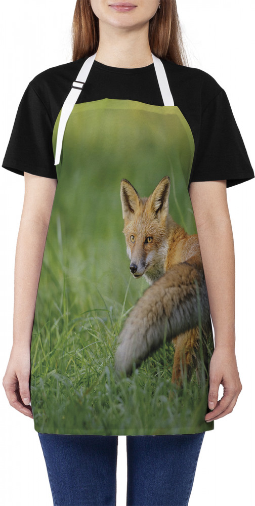 Фартук для кухни «Лиса в траве» | JoyArty