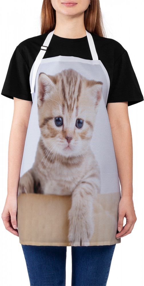Фартук для кухни «Маленький котенок» | JoyArty