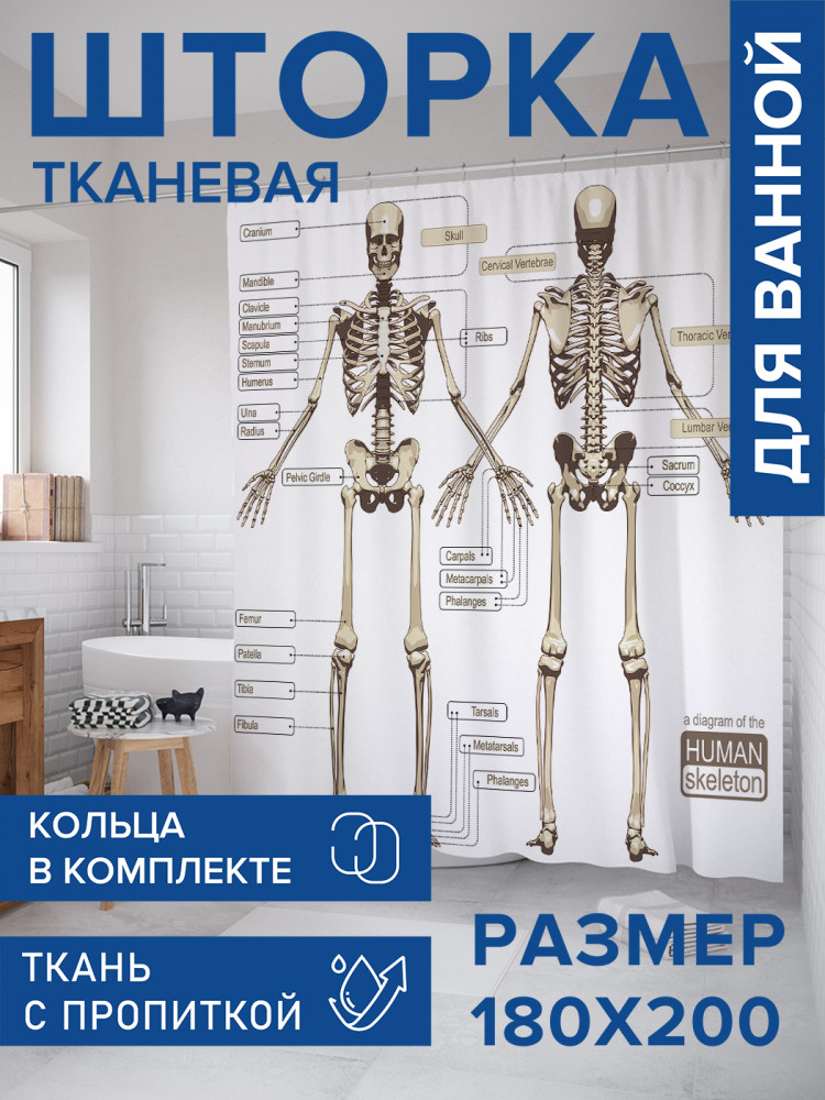 Штора для ванной с водоотталкивающей пропиткой «Анатомия человека» | JoyArty