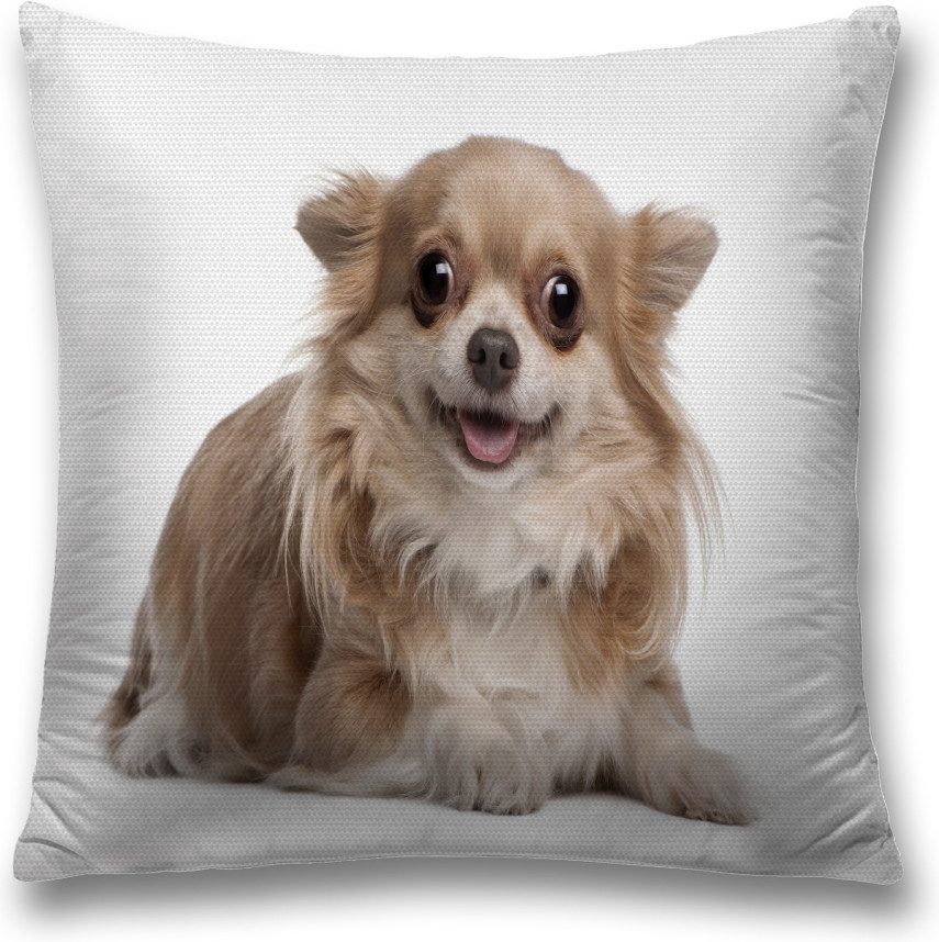Наволочка декоративная «Глазастая чихуахуа» | JoyArty