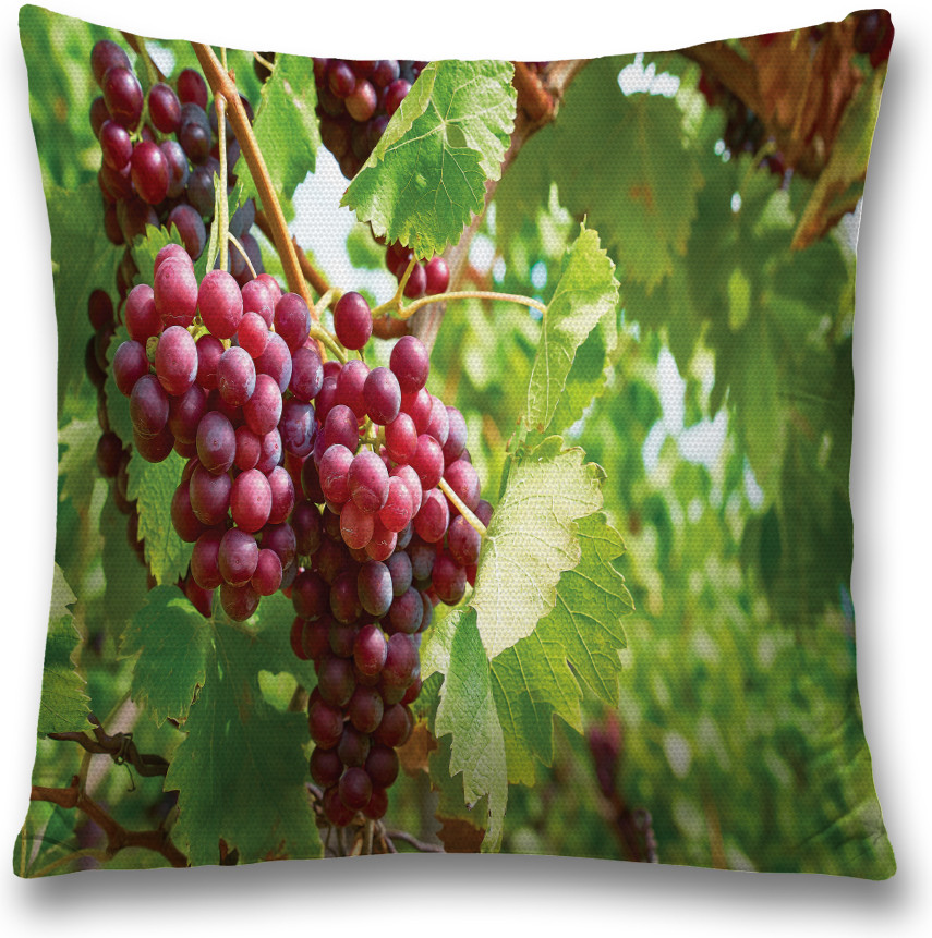 Наволочка декоративная «Солнечные лучи на винограде» | JoyArty