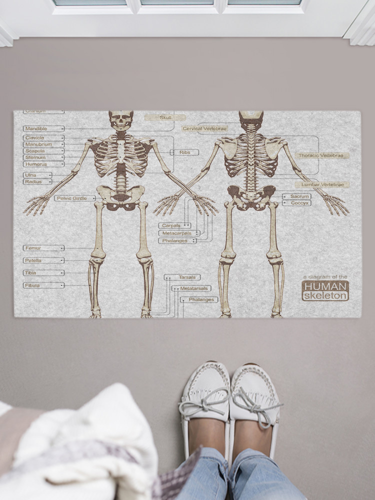 Коврик придверный «Анатомия человека» | JoyArty