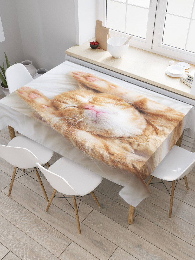 Скатерть водоотталкивающая «Сонный котенок» | JoyArty