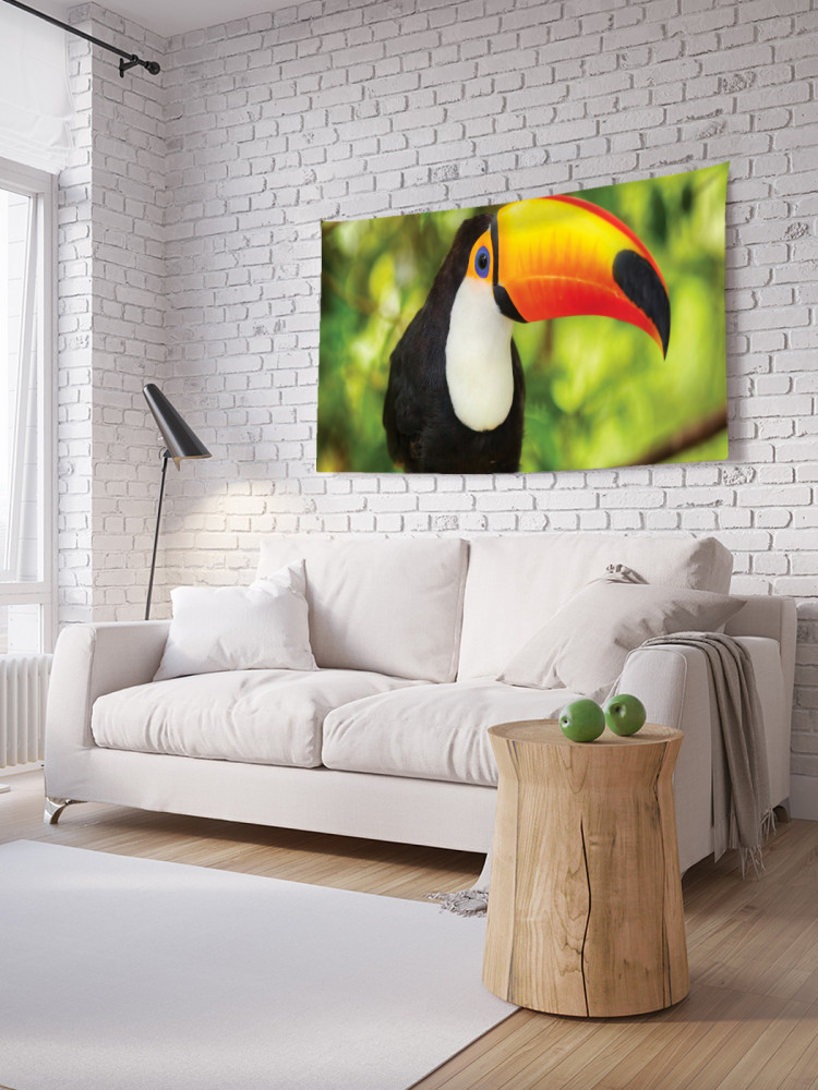 Фотопанно на стену «Токо тукан» | JoyArty