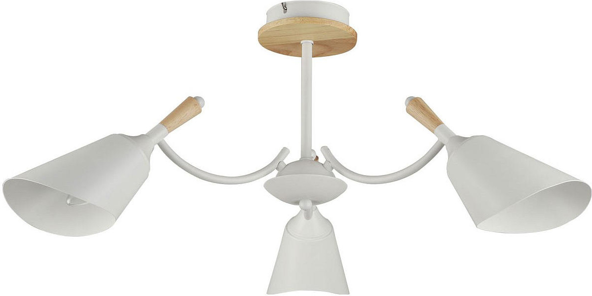 Светильник потолочный «Дэла» | De City