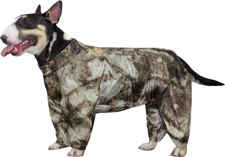 Комбинезон для собаки «Бультерьер» | Gamma