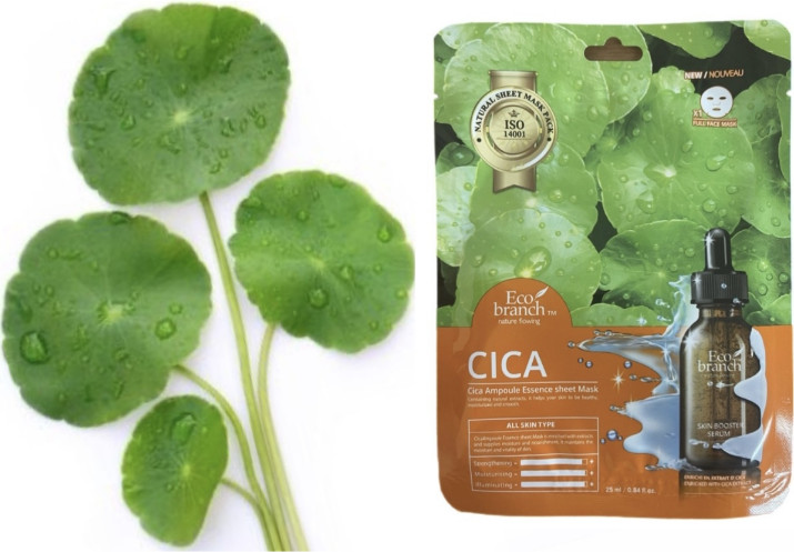 Тканевая маска с экстрактом центеллы «Cica Ampoule Essence Sheet Mask» | Eco Branch