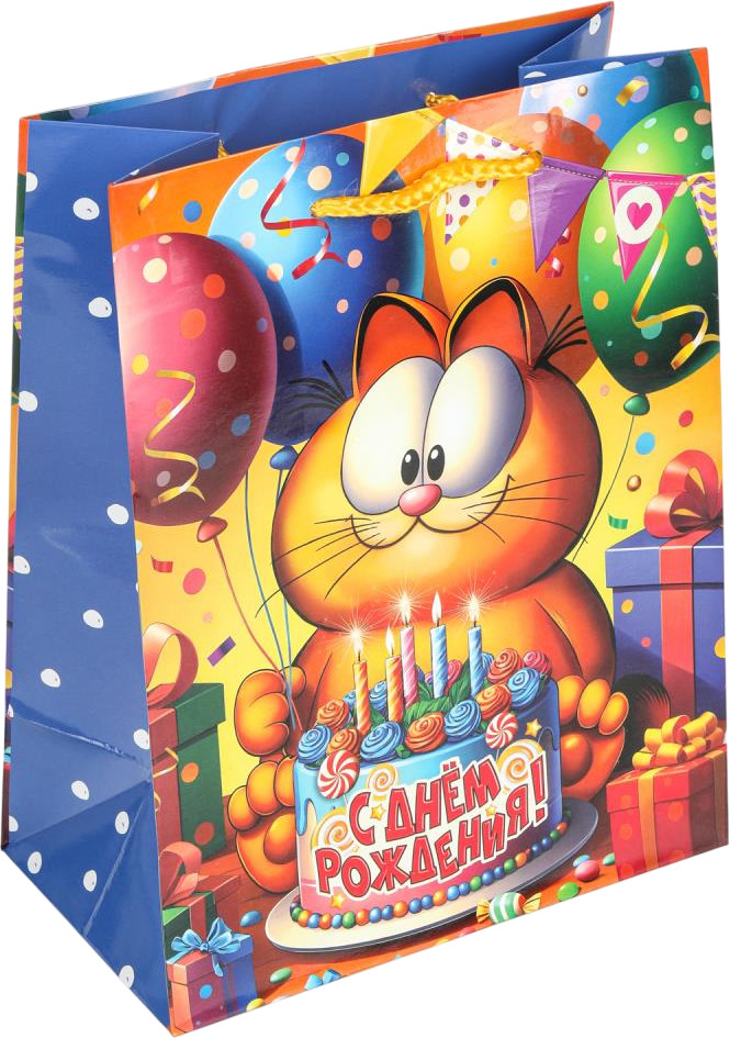 Пакет подарочный «Рыжий кот» | Чудо праздник