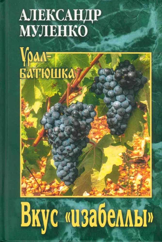 Вкус «изабеллы» | Урал-батюшка