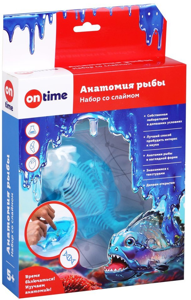 Набор со слаймом «Анатомия рыбы» | On Time