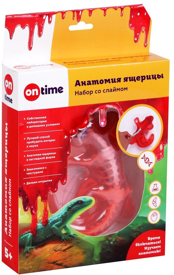 Набор со слаймом «Анатомия ящерицы» | On Time