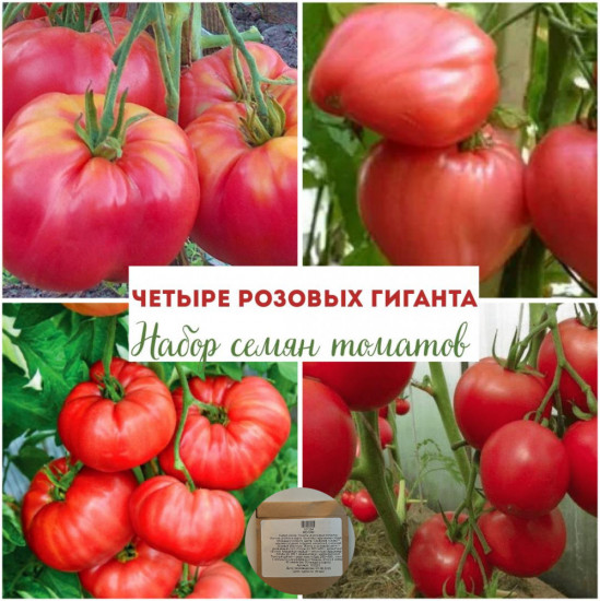 Набор коллекционных томатов «Четыре розовых гиганта»