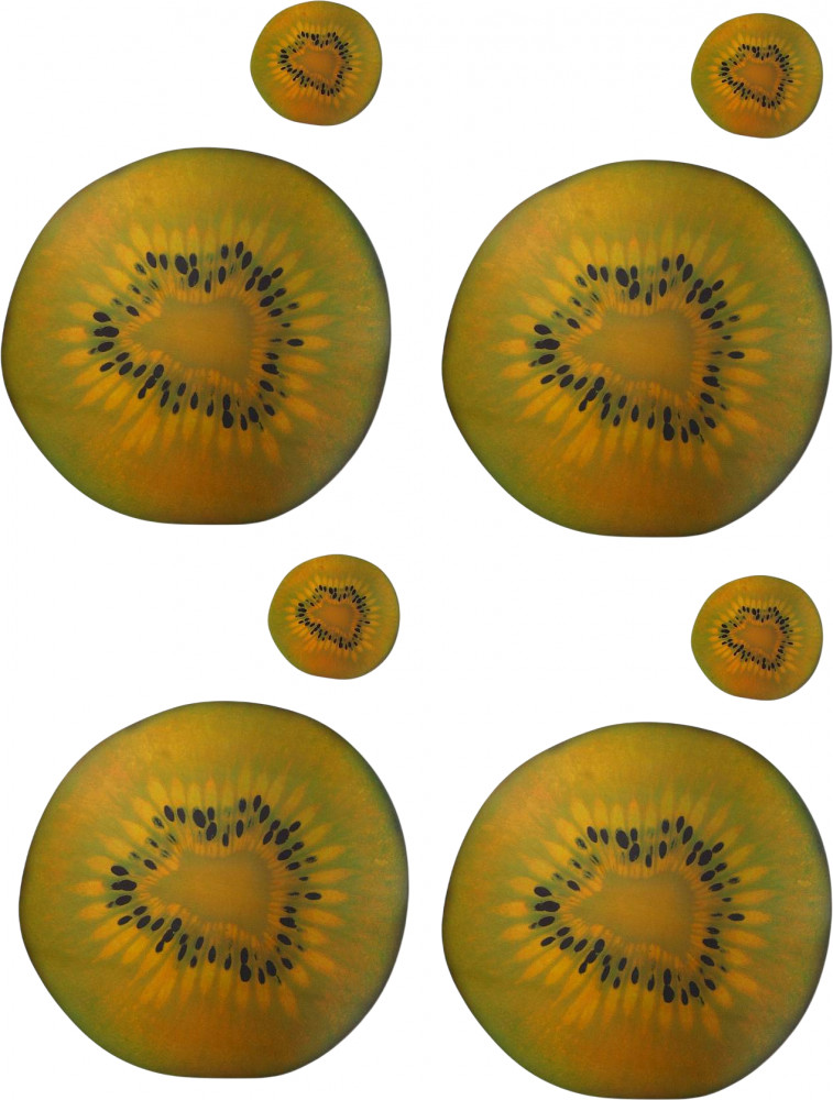 Набор подстановочных матов «Киви»