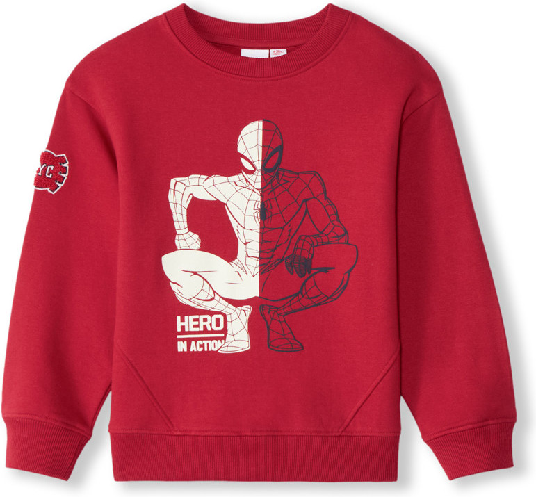 Свитшот для мальчиков | ORCHESTRA