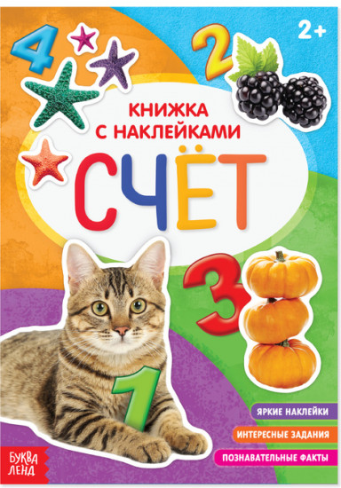 Книга с наклейками «Счёт»