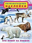 Кто живет на полюсе